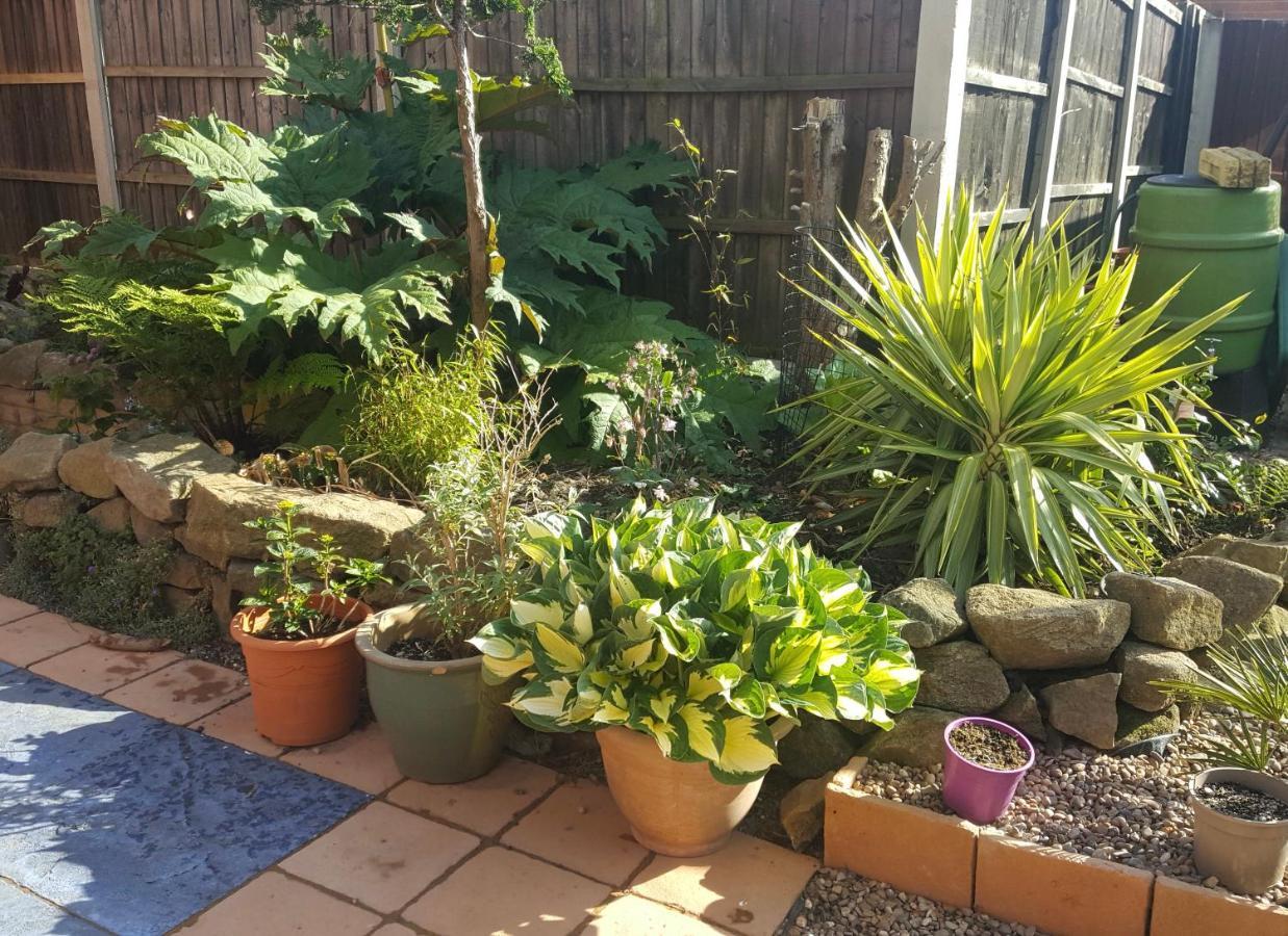 Heanor Self Contained Ground Floor Bedroom With Ensuite Wet Room Continental Breakfast Included Parking For 1 Car Outside מראה חיצוני תמונה